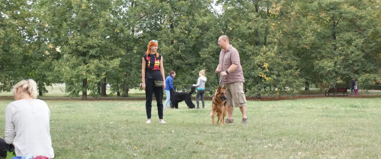 Ludzie ćwiczą posłuszeństwo ps&oacute;w w parku. Widać jak wytresować psa żeby się słuchał, gdy opiekunowie prowadzą owczarka niemieckiego i pudla.