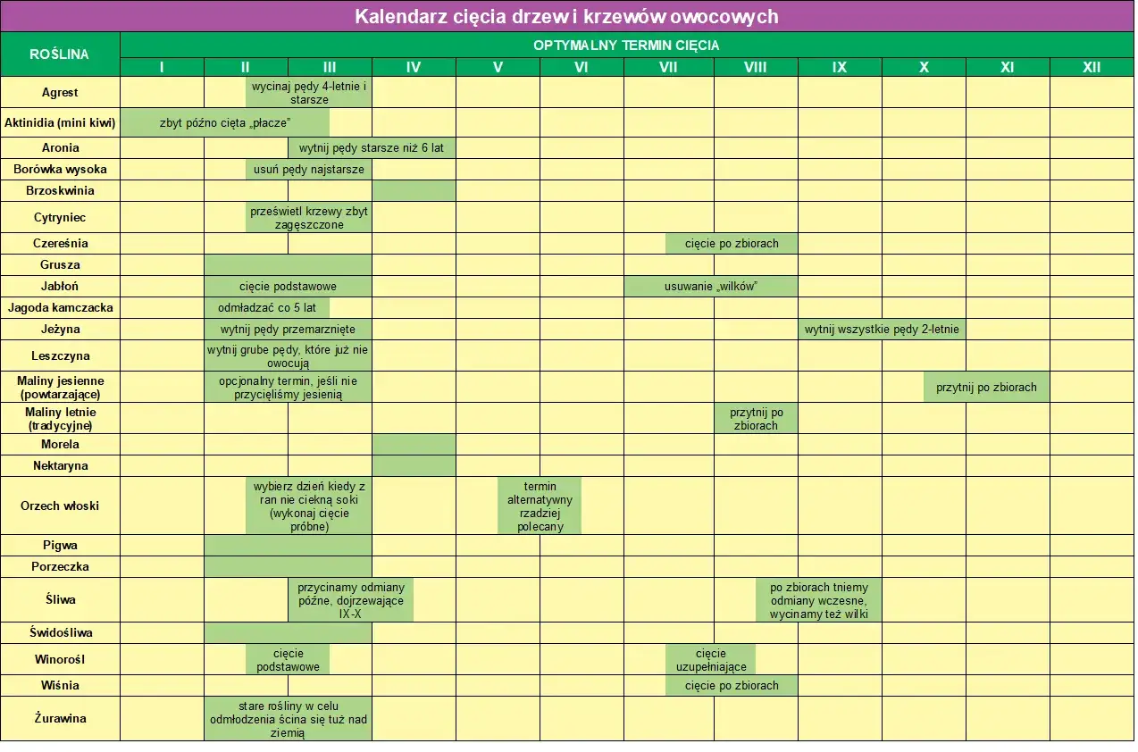 kalendarz przycinania jagody kamczackiej