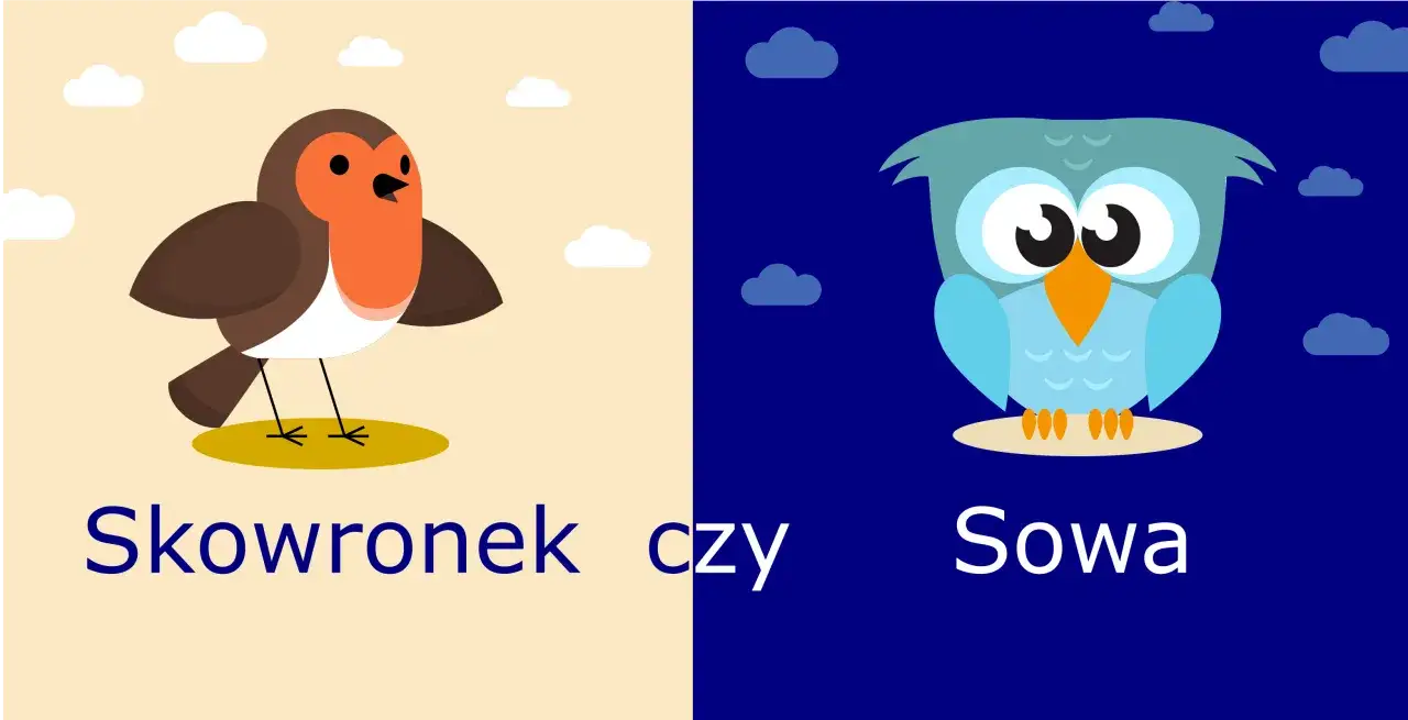 chronotyp sowa i skowronek por&oacute;wnanie