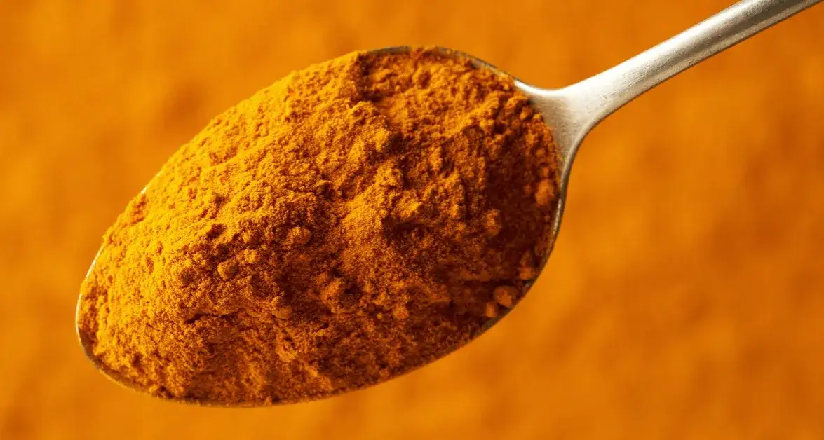 Zdjęcie Czy pies może jeść kurkumę? Bezpieczne dawkowanie i korzyści zdrowotne