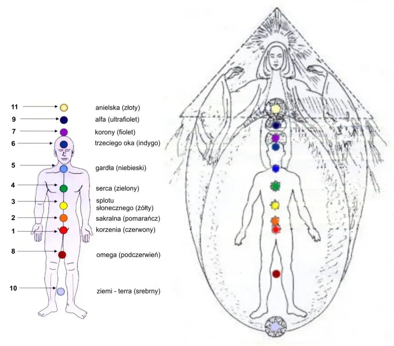 Zdjęcie Czakry człowieka: jak ich równowaga wpływa na twoje zdrowie?