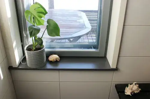 Zdjęcie Jaki kolor parapetów zewnętrznych do białych okien? Unikaj najgorszych błędów.