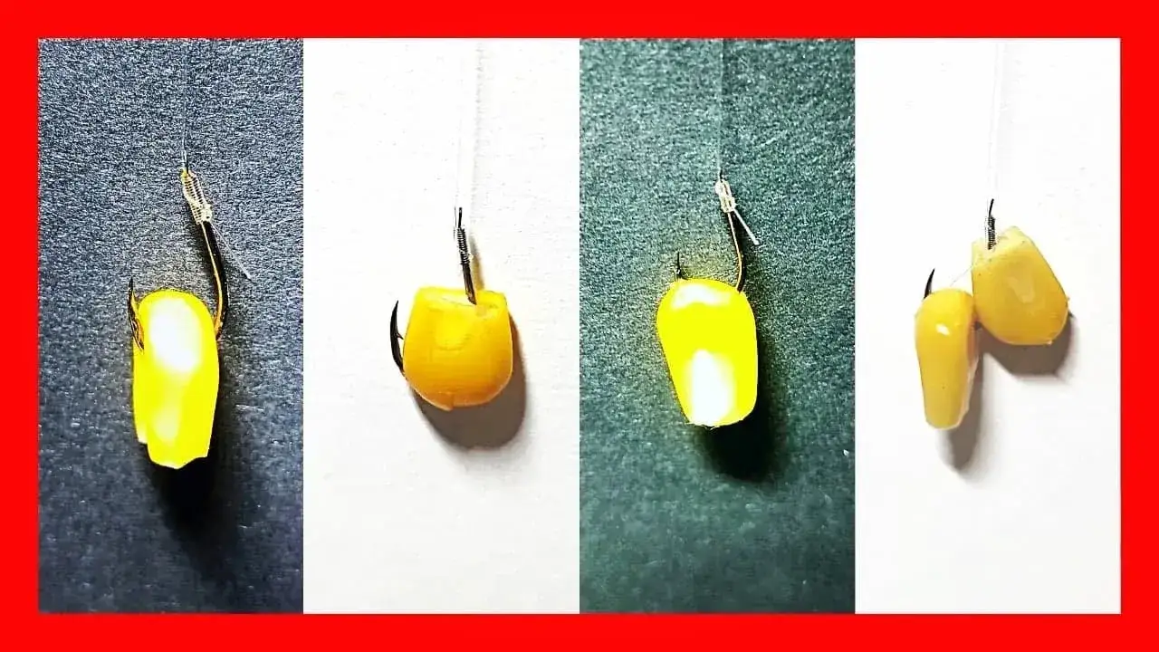 Zdjęcie Jak zakładać kukurydzę na haczyk, aby złapać więcej ryb