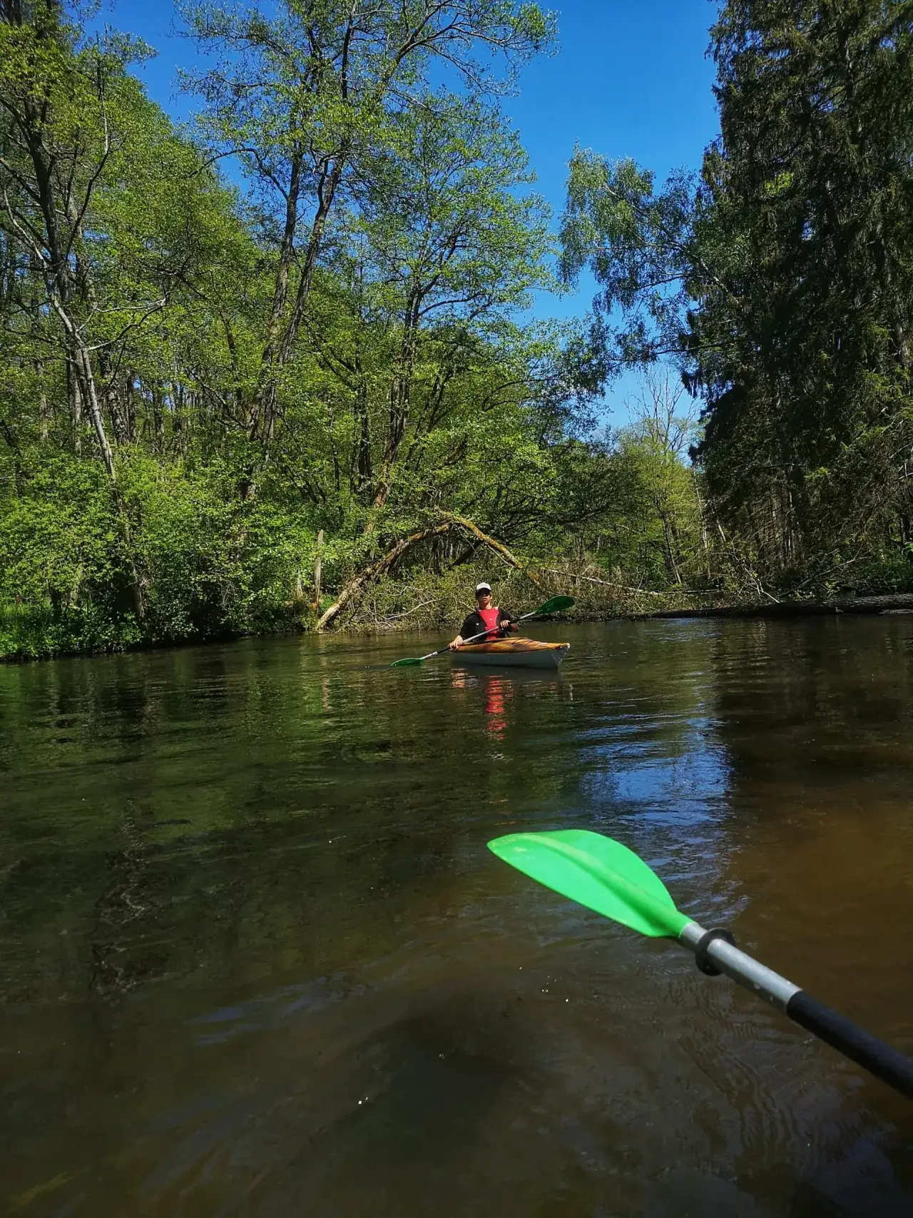 Zdjęcie Gdzie na kajaki pomorskie? Odkryj najlepsze trasy i miejsca