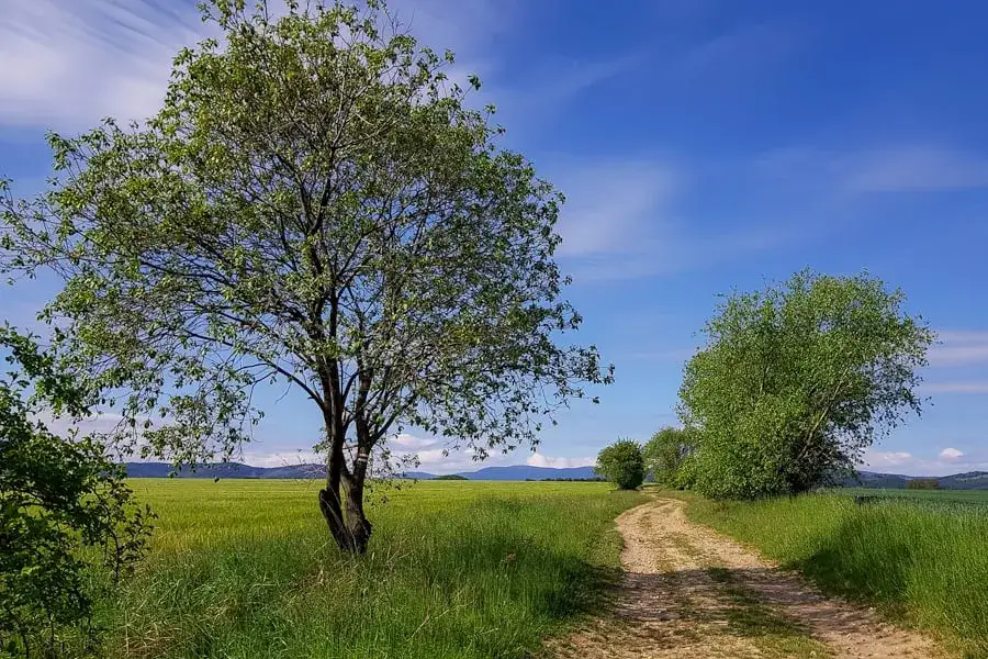 Zdjęcie Ile dni zajmuje Główny Szlak Sudecki? Sprawdź, co musisz wiedzieć