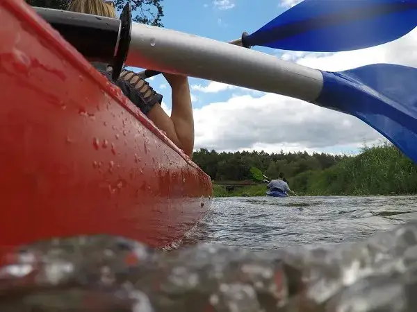 Zdjęcie Spływ kajakowy Dolina Baryczy - najlepsze trasy i atrakcje na wodzie