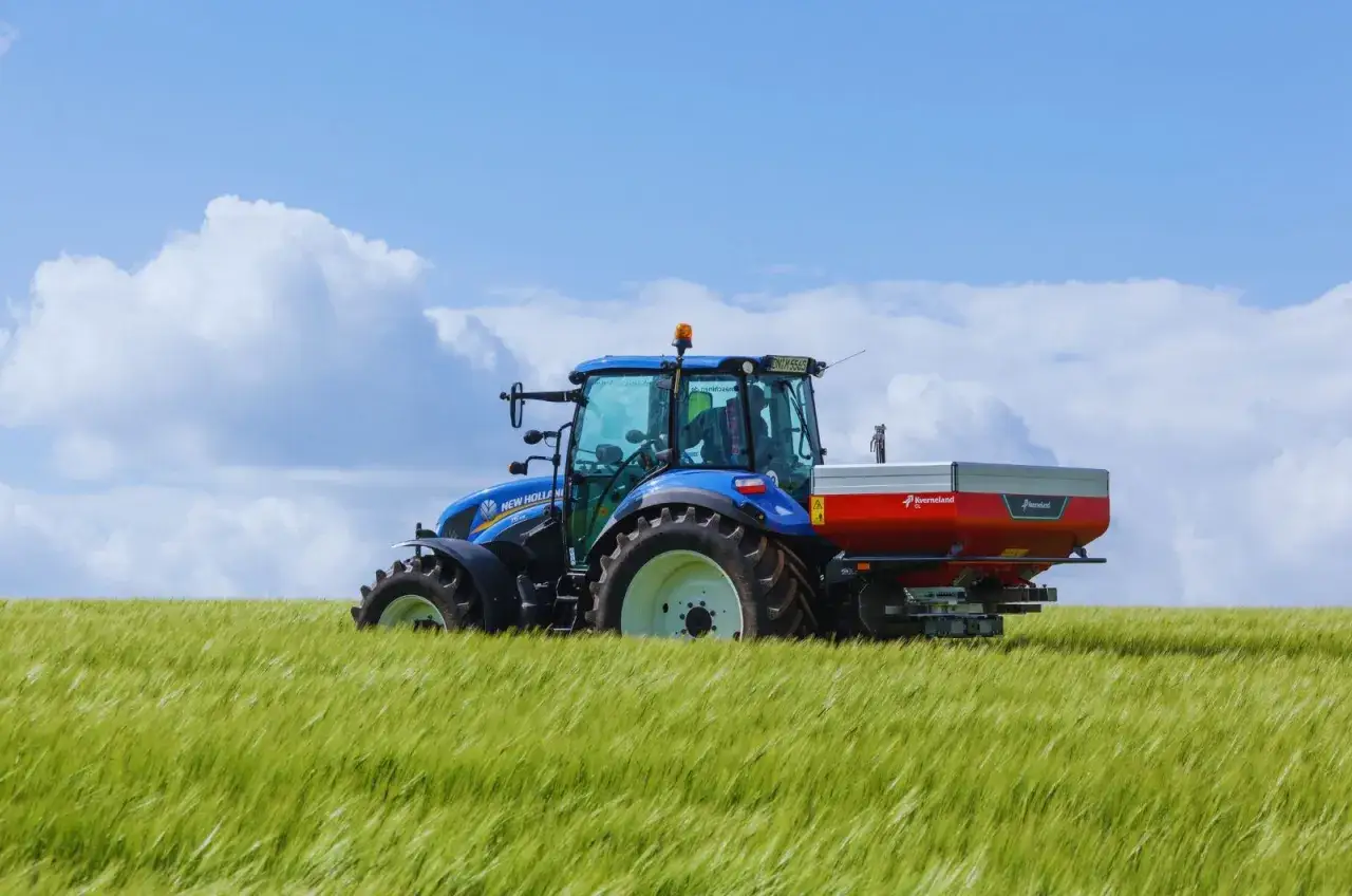 Zdjęcie Jakie nawozy stosować pod pszenicę ozimą, aby uniknąć niskich plonów?