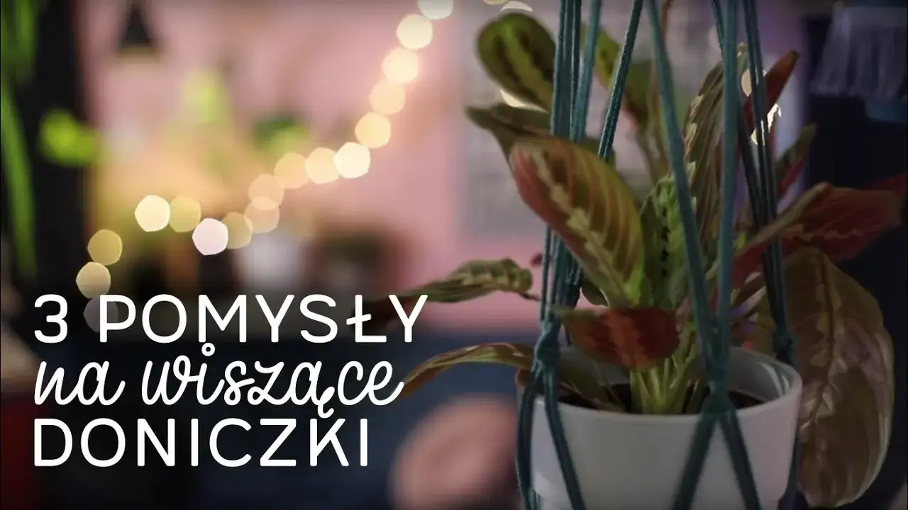 Zdjęcie Twórz piękne wiszące doniczki DIY z łatwych materiałów i technik