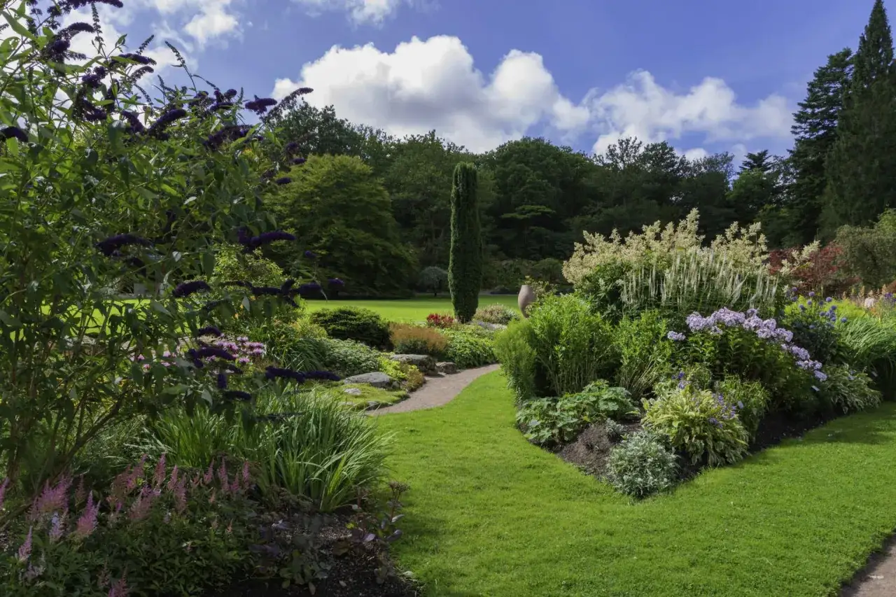 Zdjęcie Jak samemu zaprojektować ogród - praktyczne porady i proste kroki