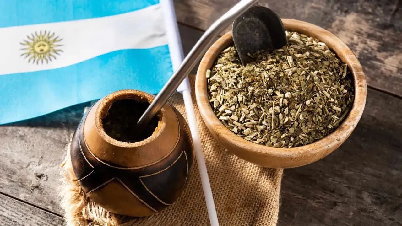 Zdjęcie Matcha czy yerba: co wybrać dla lepszej energii i koncentracji?