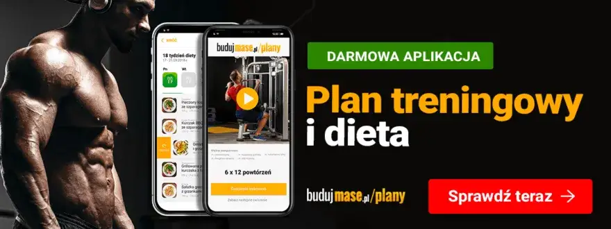 Zdjęcie Ile serii na jednym treningu? Odkryj, jak uniknąć błędów w planie