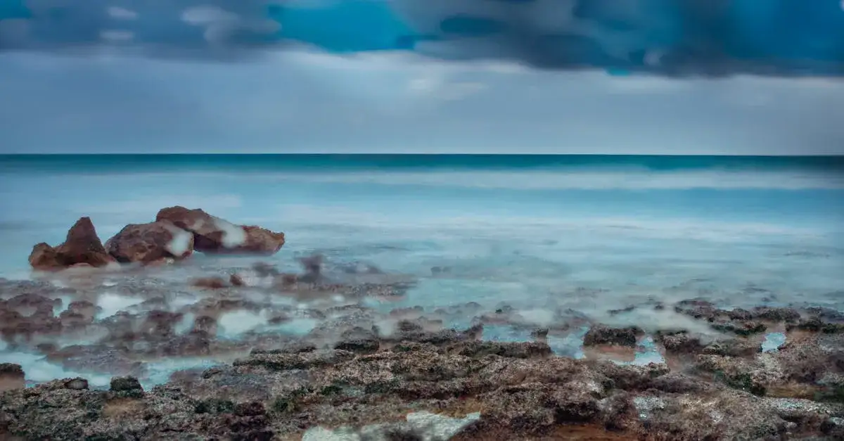 Zdjęcie Czy ekologiczne postawy w serialach wpływają na turystykę?