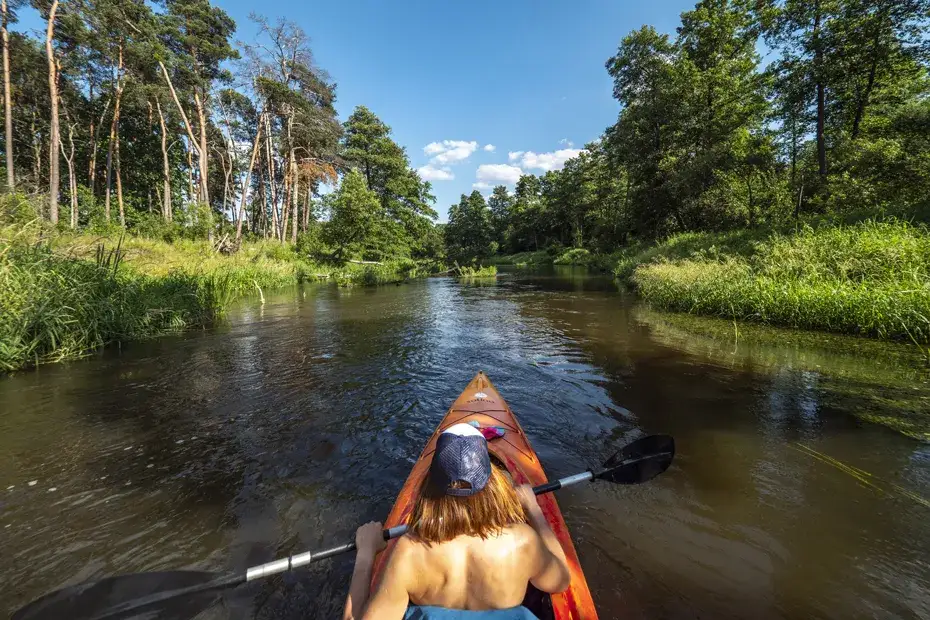 Zdjęcie Spływ kajakowy Pilica - idealne trasy i porady dla początkujących