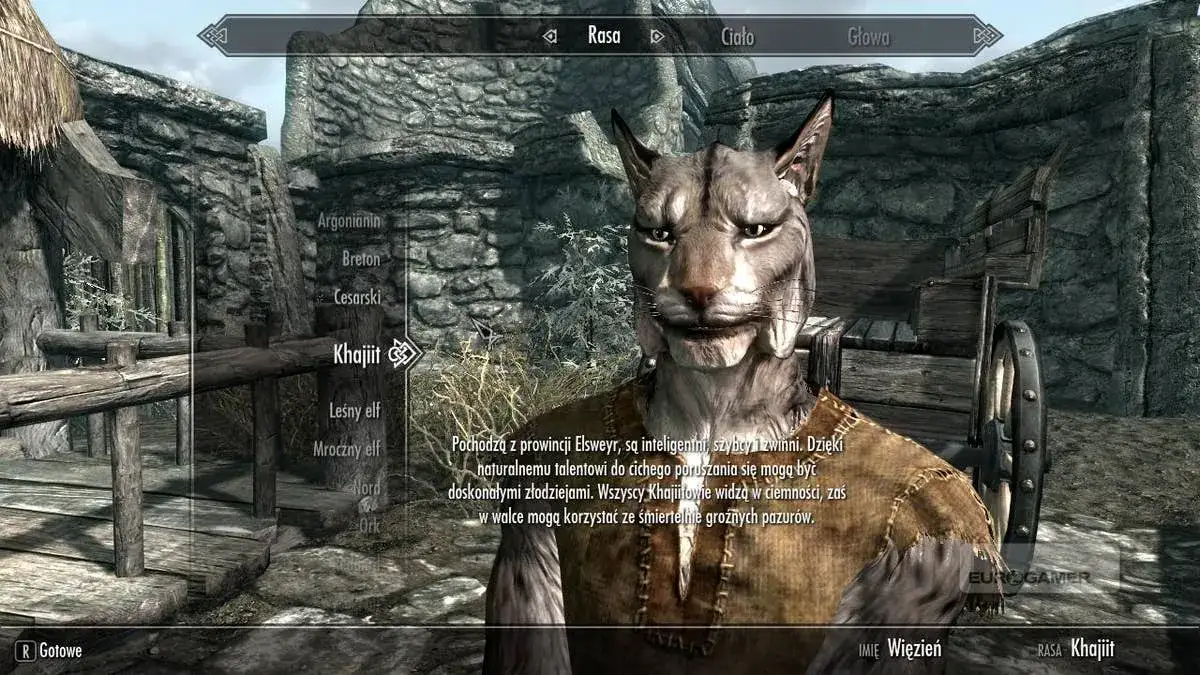 Zdjęcie Skyrim: kim najlepiej grać na początku gry - porady dla początkujących