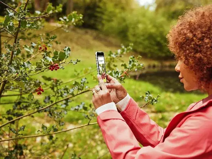Zdjęcie Comment bien choisir son forfait mobile pour éviter les erreurs coûteuses