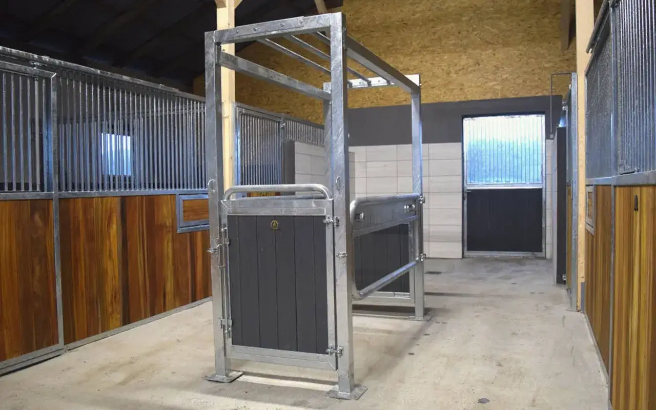 Zdjęcie Jak zrobić poskrom dla koni: skuteczne techniki i bezpieczeństwo