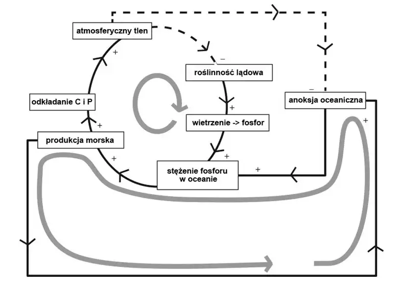 Zdjęcie Jak prądy morskie wpływają na klimat i kształtują naszą przyszłość