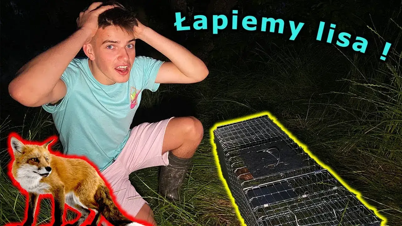 Zdjęcie Skuteczna przynęta na lisa: jak przyciągnąć rudzielca do pułapki