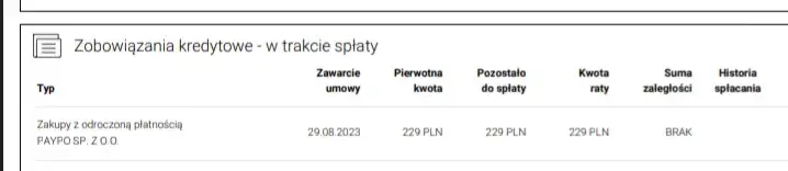 Zdjęcie Czy PayPo sprawdza BIK? Jak to wpływa na Twoją zdolność kredytową?