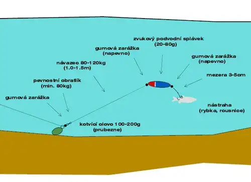 Zdjęcie Najlepszy zestaw na suma z gruntu: sprzęt i techniki łowienia