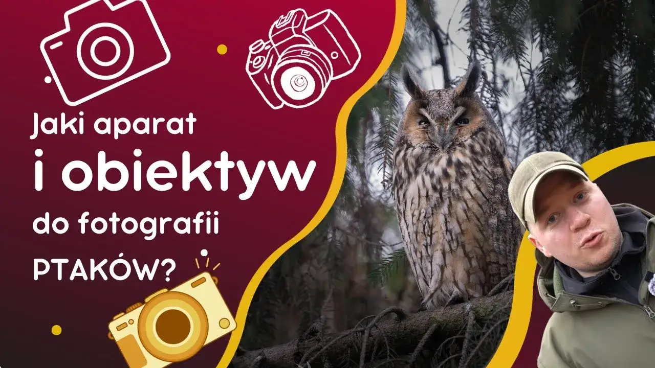 Zdjęcie Najlepsze obiektywy do fotografowania zwierząt. Profesjonalne wskazówki dla początkujących