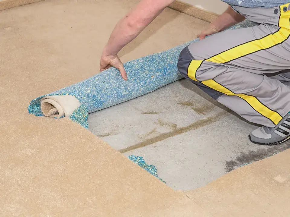 Zdjęcie Jak szybko wyrównać podłogę pod panele - najlepsze metody i porady