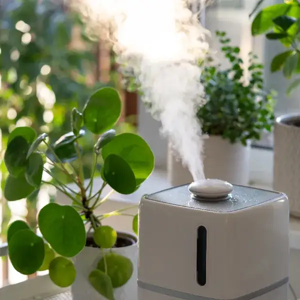 Zdjęcie Jaka wilgotność w sypialni? Oto, dlaczego 40-60% jest kluczowe