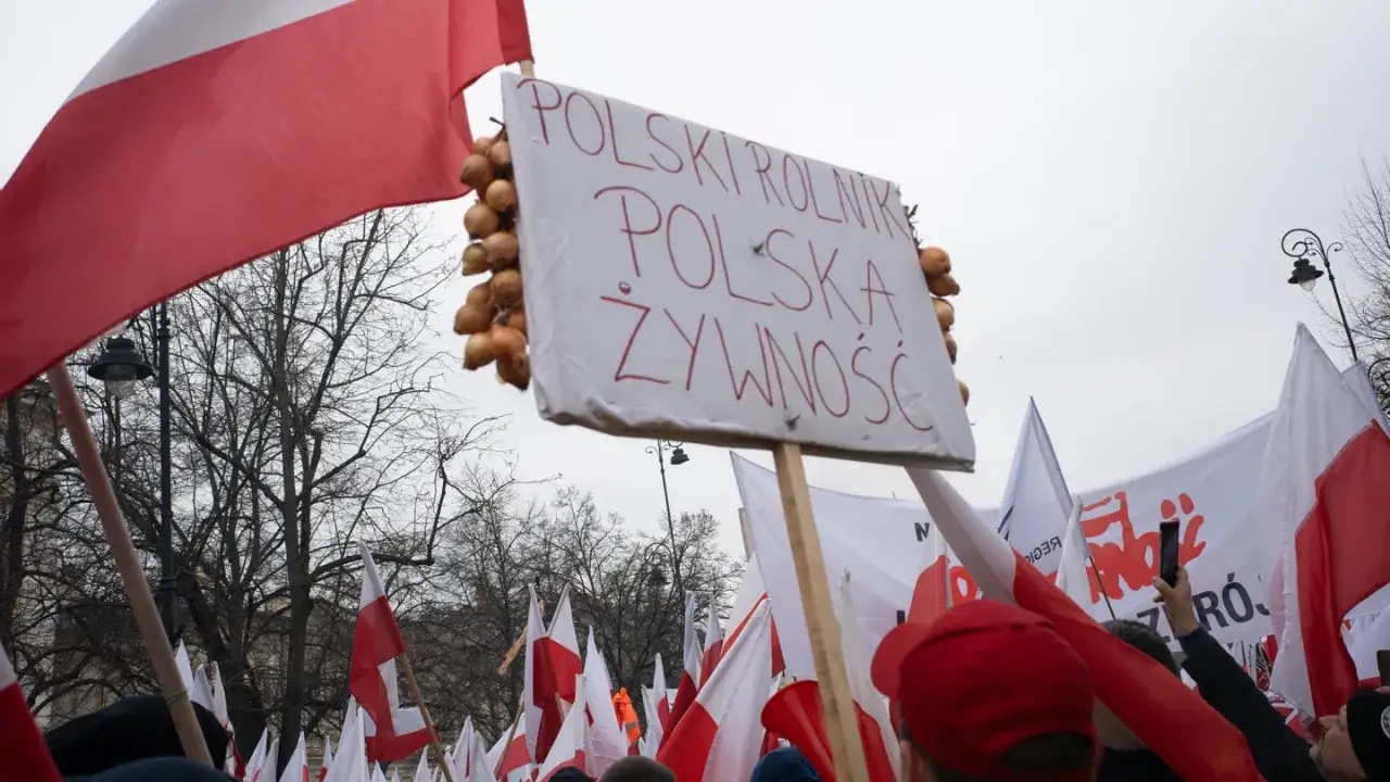 Zdjęcie Kto to jest aktywista i jak jego działania zmieniają świat?