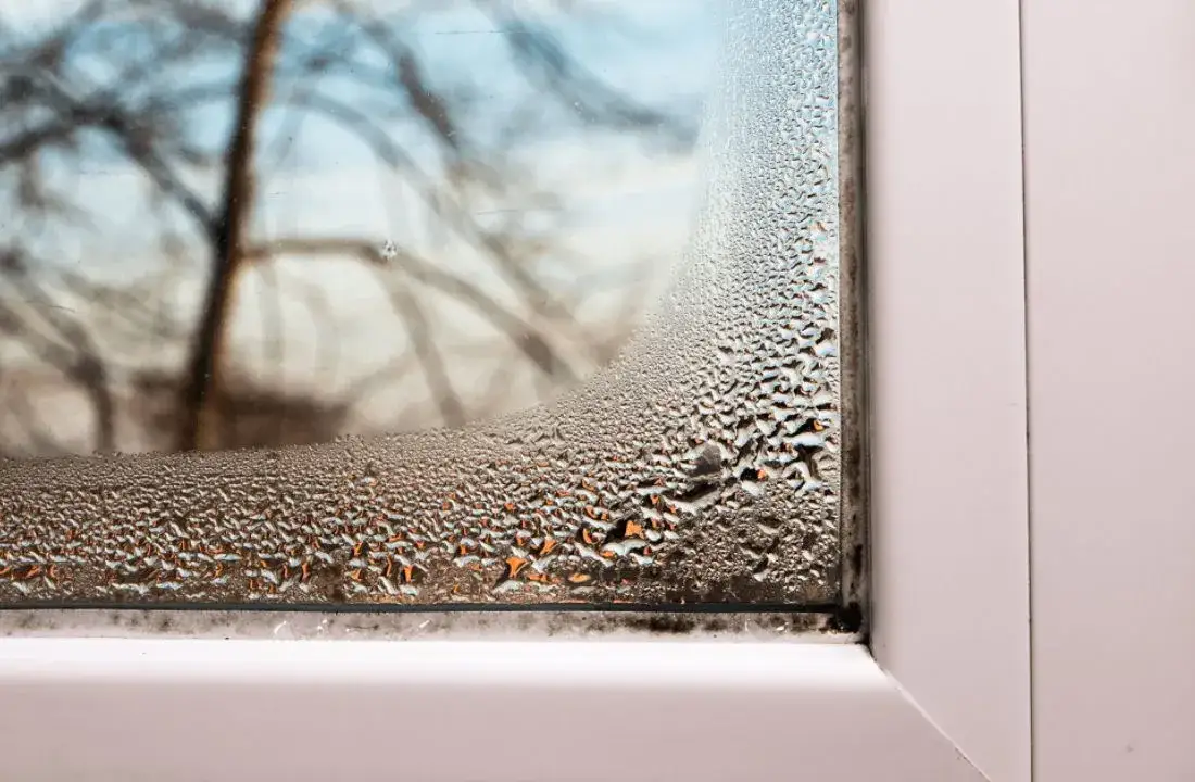 Zdjęcie Dlaczego skrapla się woda na oknach? 5 przyczyn i rozwiązań