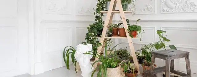 Zdjęcie Jak zrobić kwietnik drewniany drabinka - proste kroki i porady