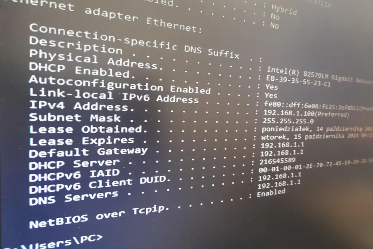 Zdjęcie Jak sprawdzić adres IP strony internetowej i uniknąć problemów z dostępem