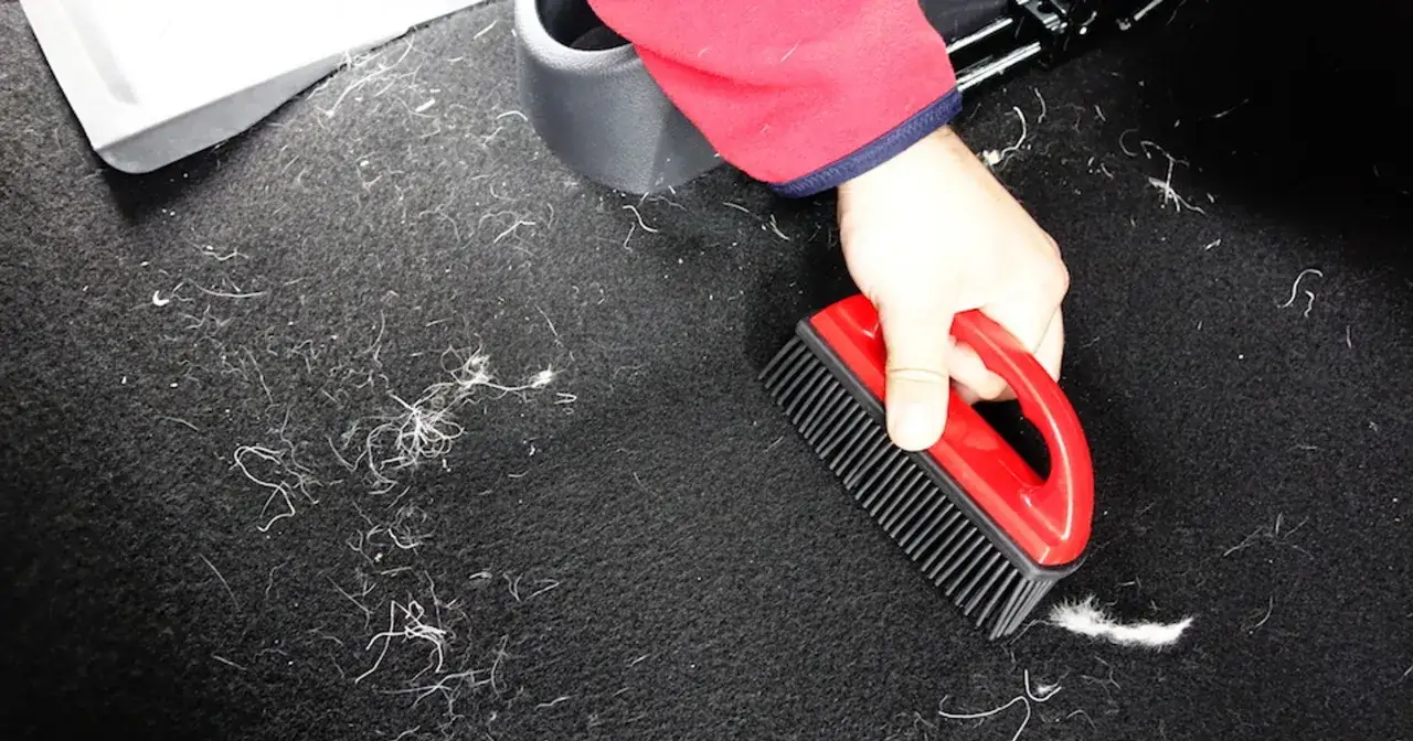 Zdjęcie Skuteczne sposoby na to, czym usunąć sierść z tapicerki bez trudu