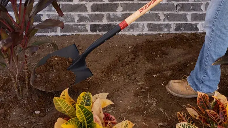 Zdjęcie Jak jest łopata po angielsku? Odkryj r&oacute;żnice między shovel a spade