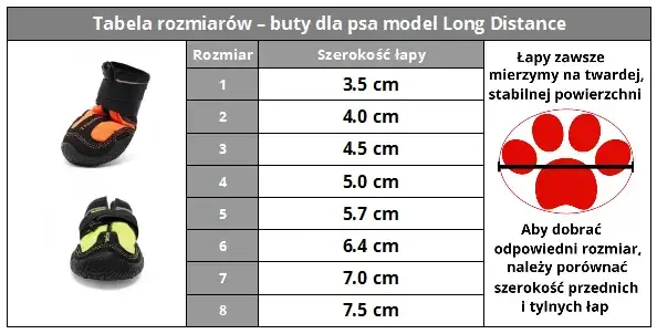 Zdjęcie Jak wybrać buty dla psa w góry: kompletny poradnik dla właścicieli