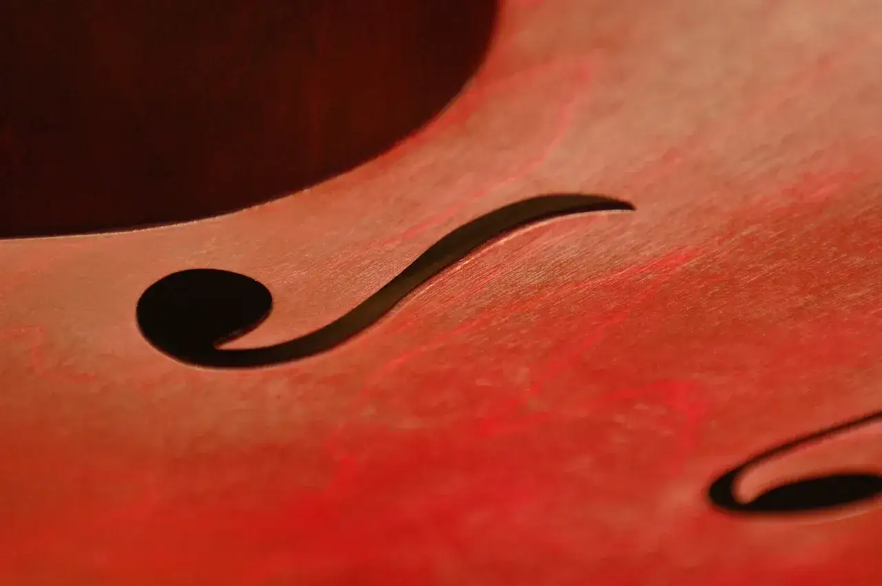 Zdjęcie Gitara i skrzypce to instrumenty jakie - poznaj ich różnice i cechy