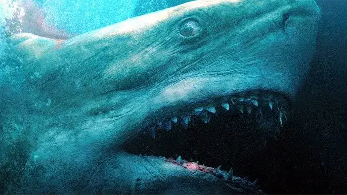 Zdjęcie Film o megalodonie: szokująca historia, która zaskakuje widzów
