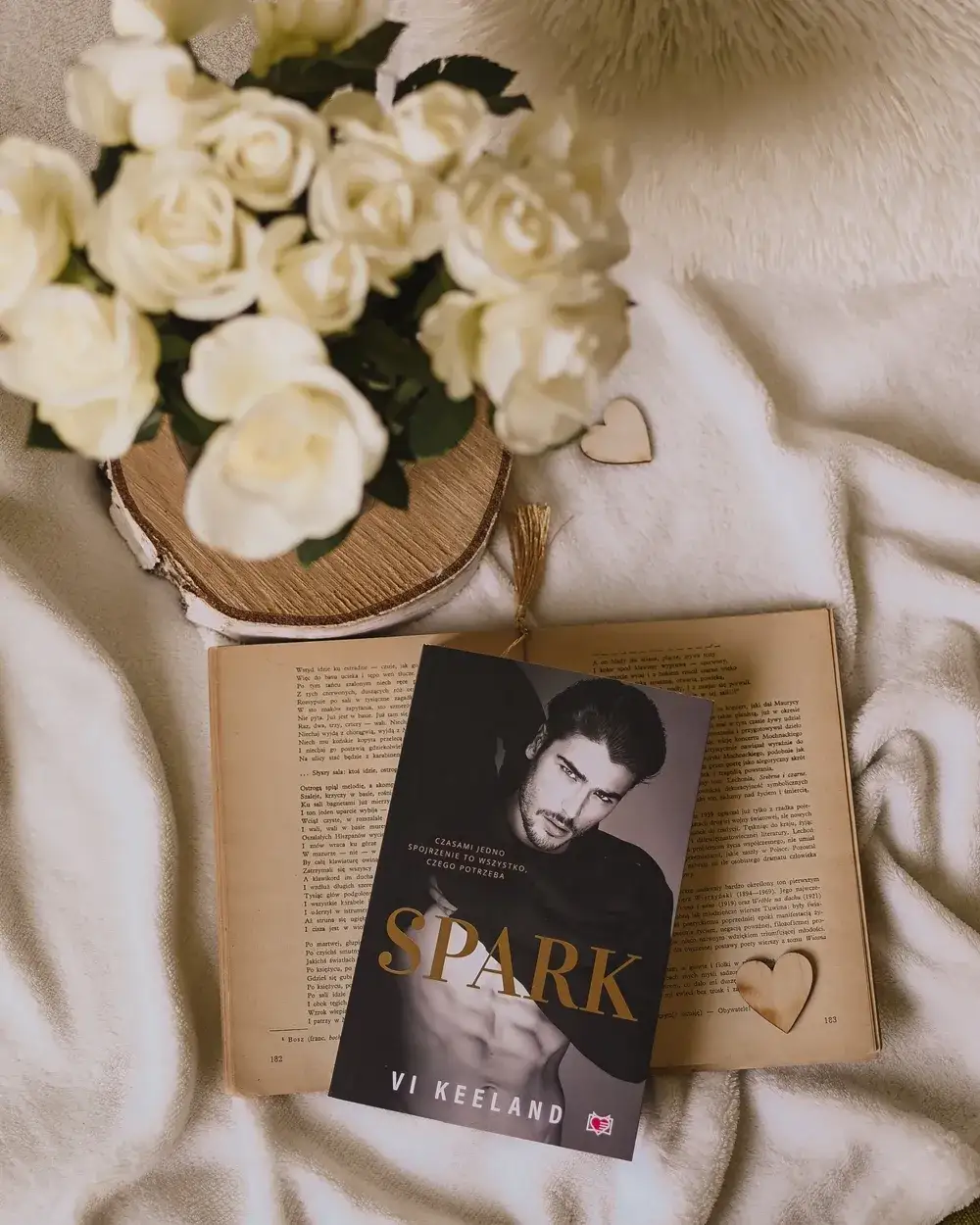 Zdjęcie Spark książka o czym jest – odkryj emocje, przyjaźń i miłość