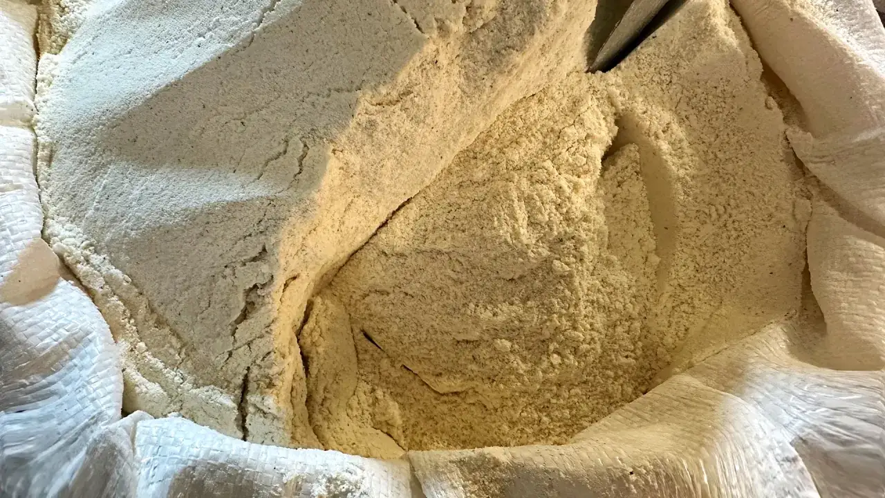 Zdjęcie Czy mąka jest wegańska? Sprawdź, które rodzaje są bezpieczne