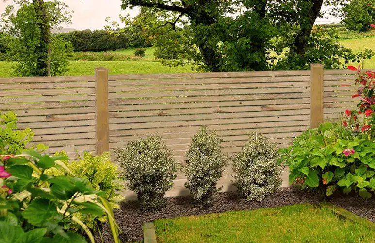 Zdjęcie Idealne rośliny przy ogrodzeniu z siatki. Sposób na piękny i zadbany płot