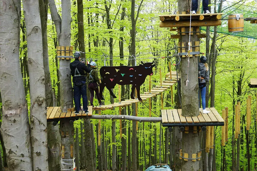 Zdjęcie Park linowy Ustroń - emocjonujące trasy i bezpieczeństwo dla każdego