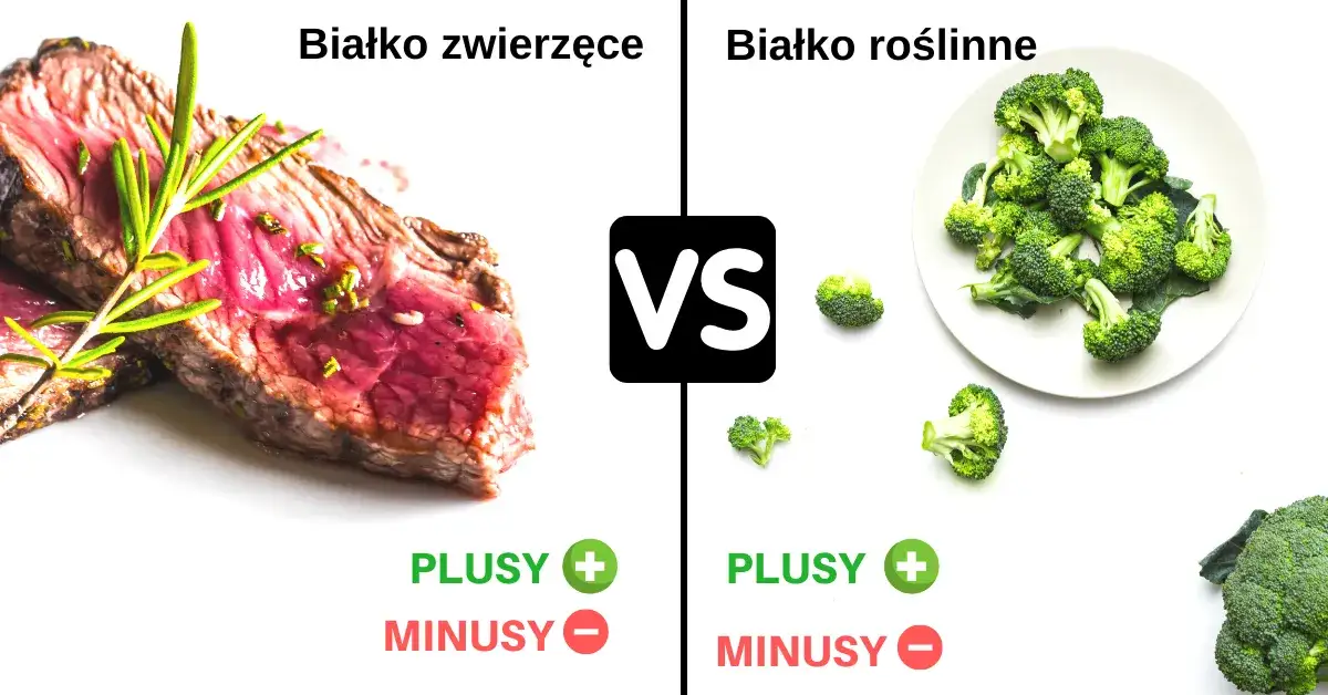 Zdjęcie Czy białko roślinne buduje mięśnie? Odkryj prawdę o jego skuteczności
