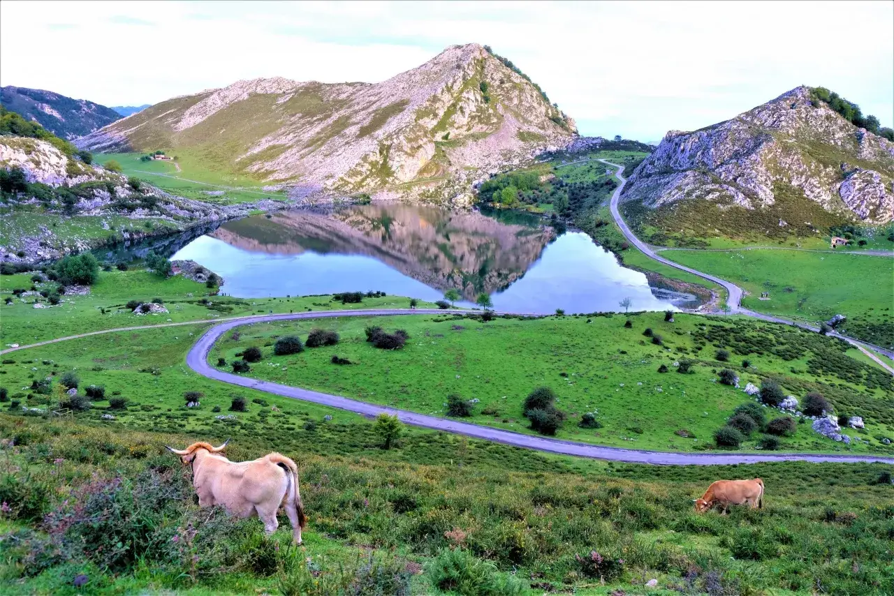 Zdjęcie ¿Se puede subir en coche a los lagos de Covadonga? Acceso y restricciones