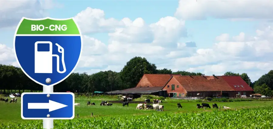 Zdjęcie Co oznacza skrót CNG? Kluczowe informacje o sprężonym gazie ziemnym