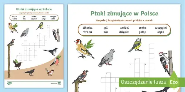 Zdjęcie Najważniejsze cechy charakterystyczne krzyżówki: elementy i budowa zagadek