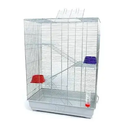 Zdjęcie Najlepsza klatka dla szynszyla: wymiary, wyposażenie i porady