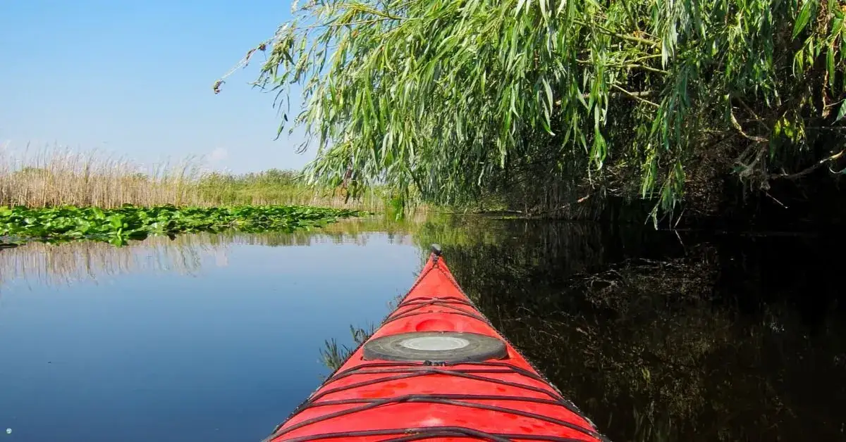 Zdjęcie Spływ kajakowy Supraśl - piękne trasy i niezapomniane widoki