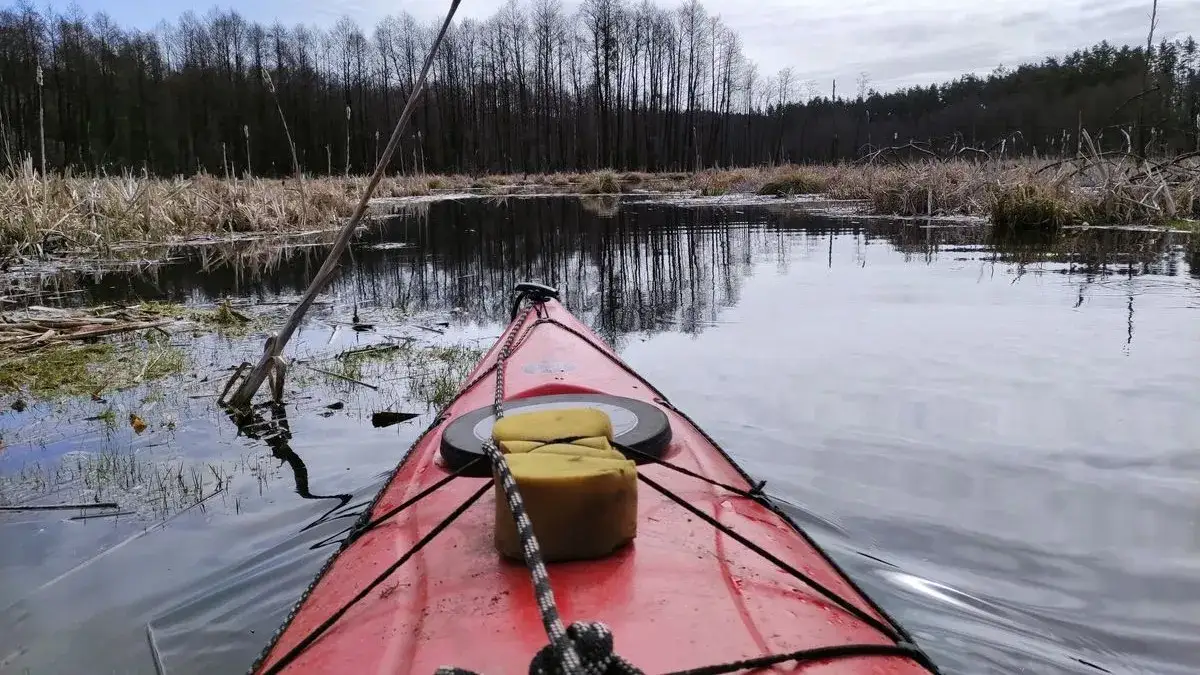 Zdjęcie Spływ kajakowy Brodnica - najlepsze oferty i niezapomniane przygody