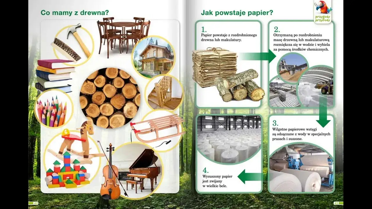 Zdjęcie Jak powstaje papier film edukacyjny – zrozumienie dla dzieci