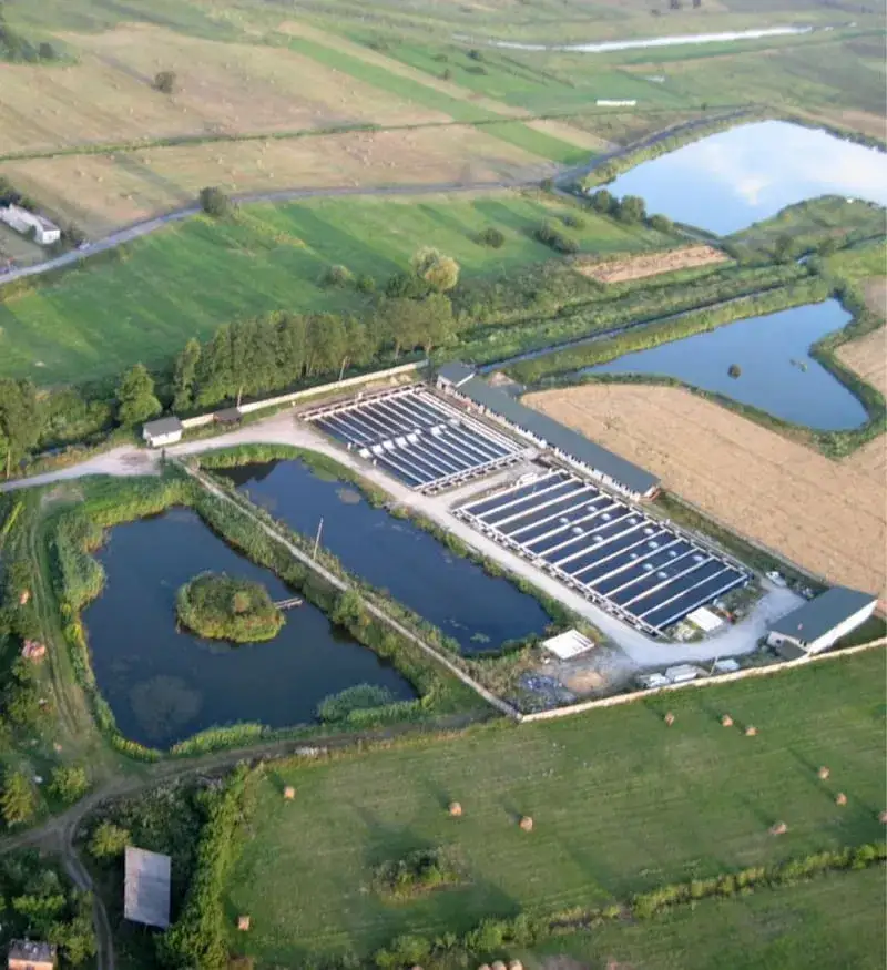 Zdjęcie Hodowla pstrąga jak zacząć – uniknij najczęstszych błędów w aquakulturze