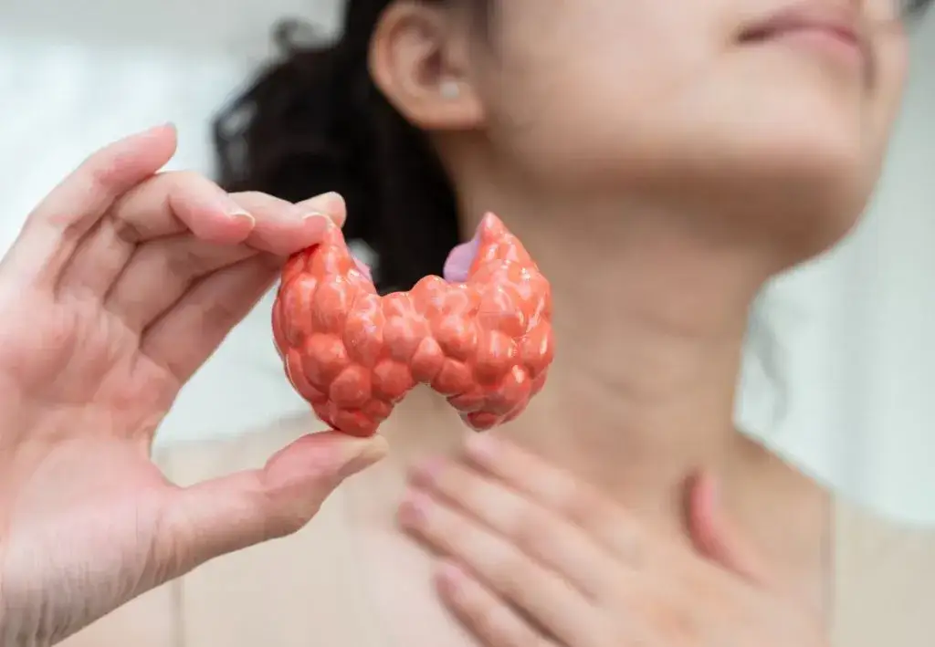 Zdjęcie Tiroides y caída de pelo: cómo evitar la pérdida y recuperar tu cabello